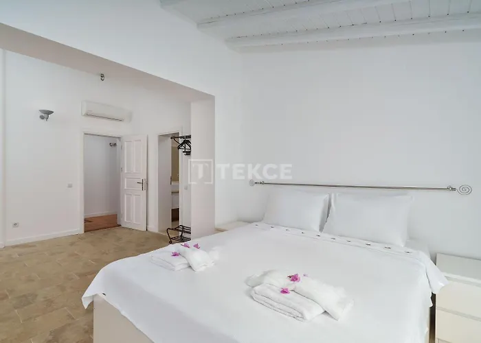 Tekce Mae N3