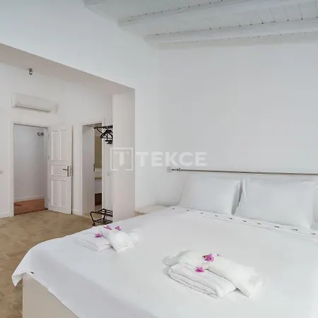 Tekce Mae N3
